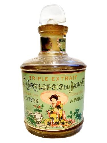 عطر ادکلن کوریلوپسیس دو ژاپن اِل تی پیور - Corylopsis du Japon L.T. Piver - بررسی، قیمت و خرید