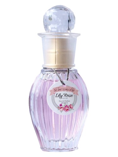 عطر ادکلن ذ تایم آف مای لایف لیلی رز پرفیومز - The Time of my Life Lily Rose Parfums - بررسی، قیمت و خرید