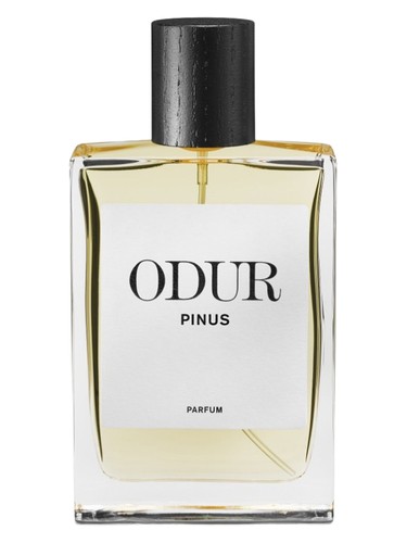 عطر ادکلن پینوس اودور - Pinus ODUR - بررسی، قیمت و خرید