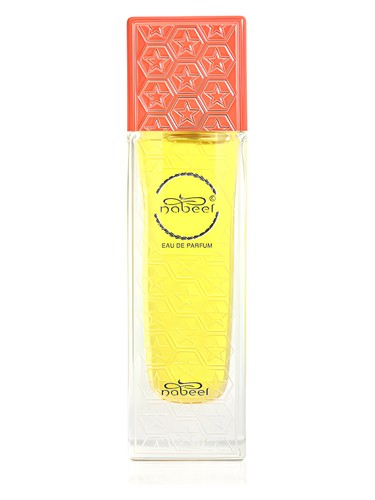 عطر ادکلن نبیل بای نبیل نبیل - Nabeel by Nabeel Nabeel - بررسی، قیمت و خرید