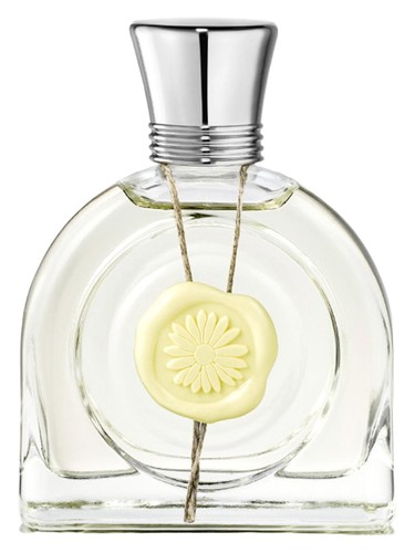 عطر ادکلن فلور لومیِر ام میکالف - Fleur Lumière M. Micallef - بررسی، قیمت و خرید