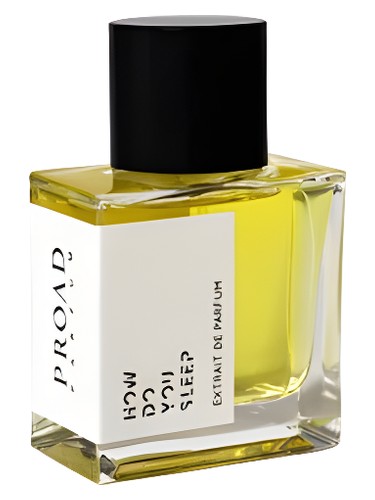 عطر ادکلن هَو دو یو اسلیپ پرود - How Do You Sleep Proad - بررسی، قیمت و خرید