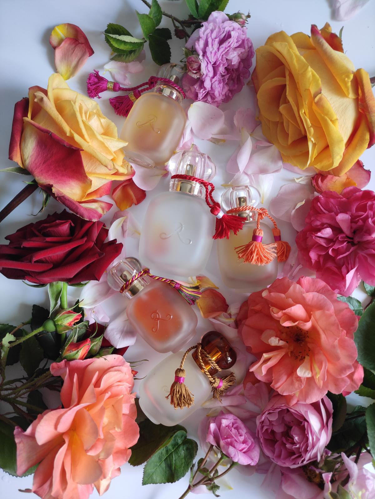 عطر ادکلن مجالس لز پارفوم دو روزین - Majalis Les Parfums de Rosine - بررسی، قیمت و خرید