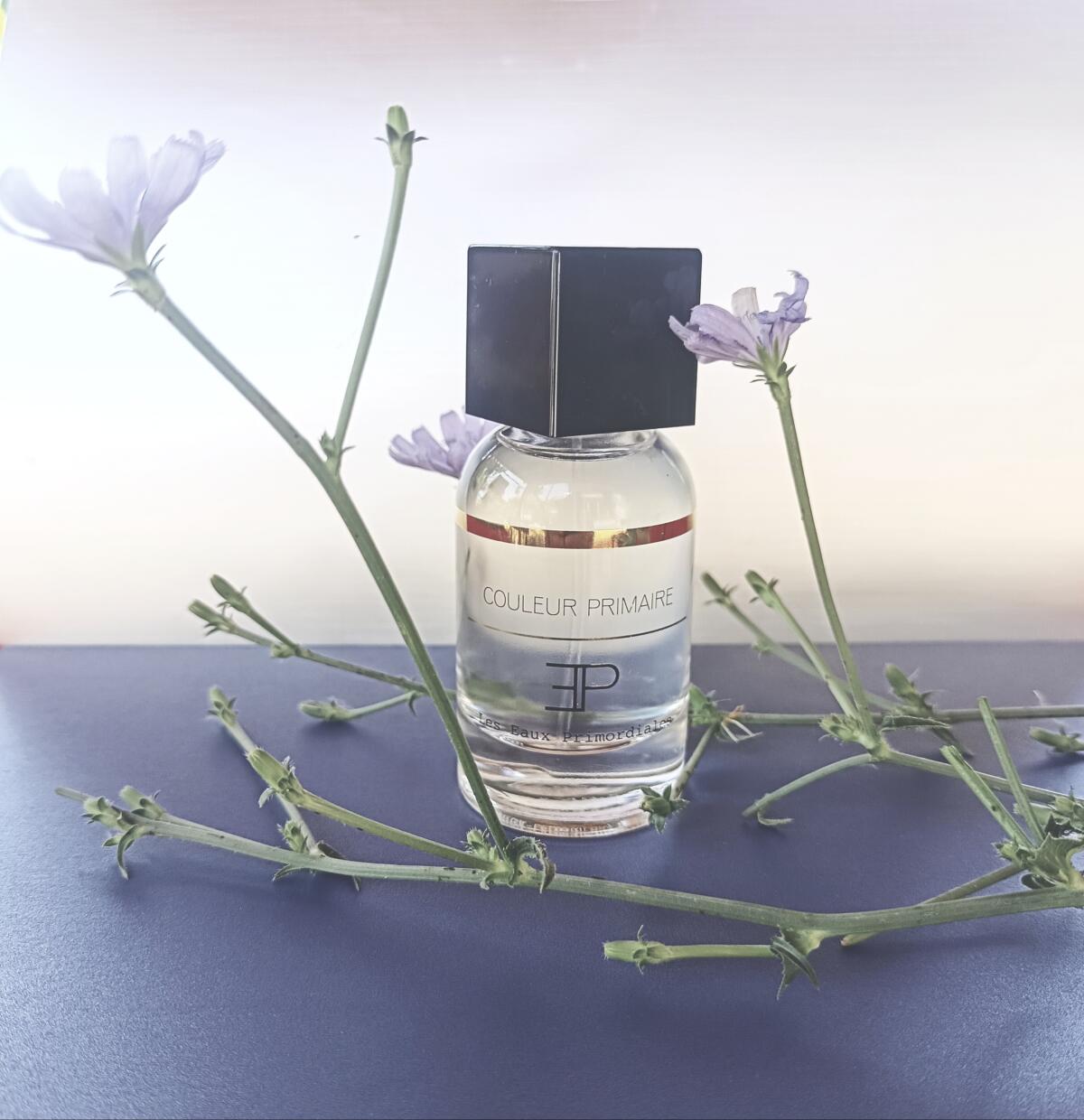 عطر ادکلن کولور پرایمر لز او پریمدیال - Couleur Primaire Les EAUX Primordiales - بررسی، قیمت و خرید