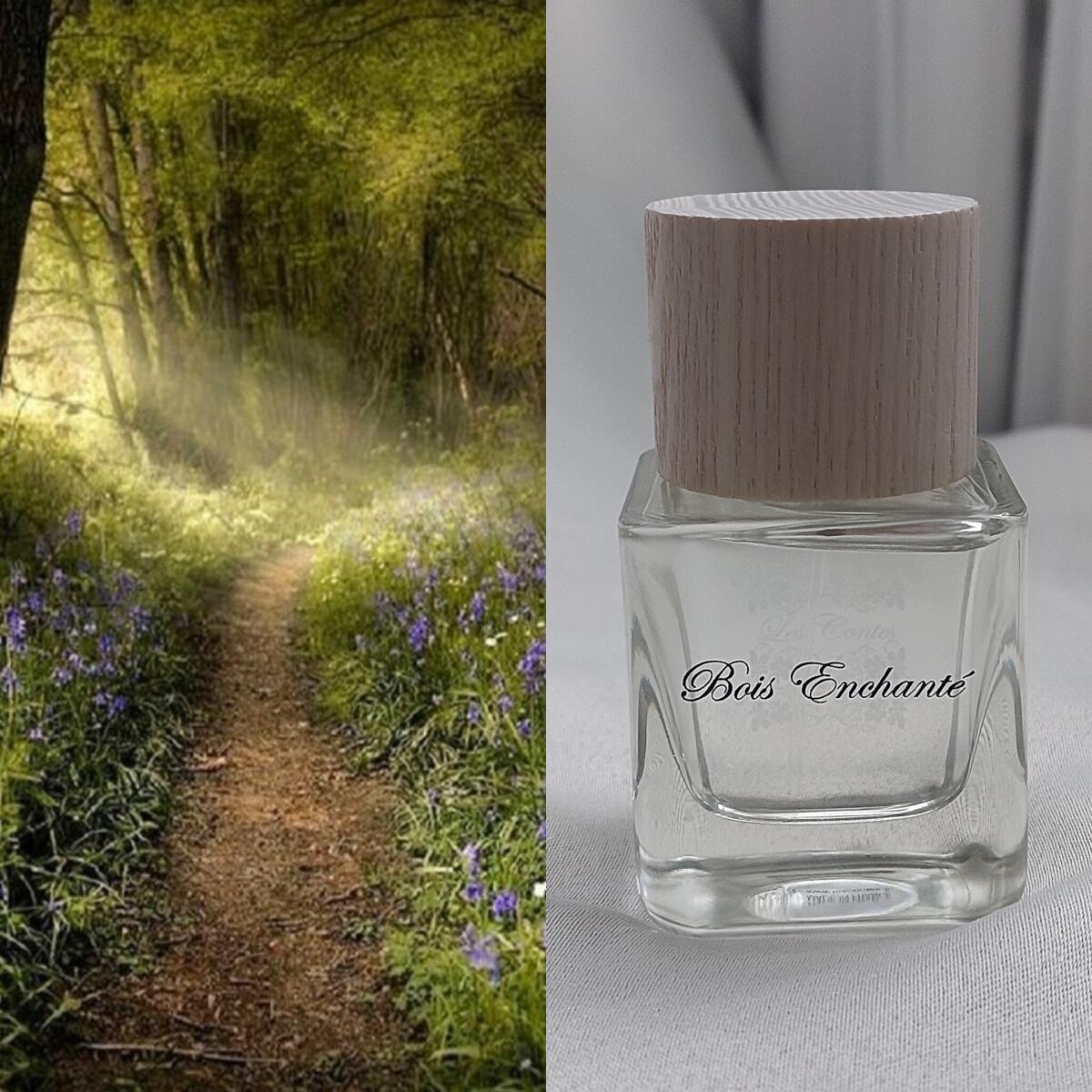 عطر ادکلن بوا انشانت له کانت - Bois Enchanté Les Contes - بررسی، قیمت و خرید
