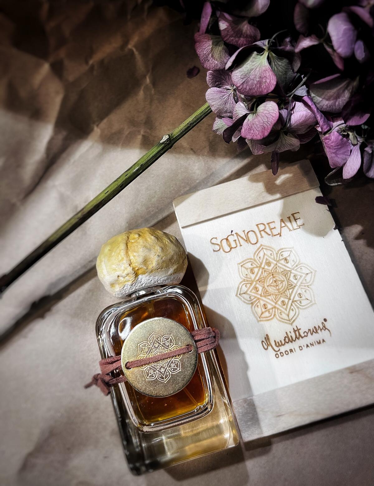 عطر ادکلن سوگنو رئاله مندیتوروسا - Sogno Reale Mendittorosa - بررسی، قیمت و خرید