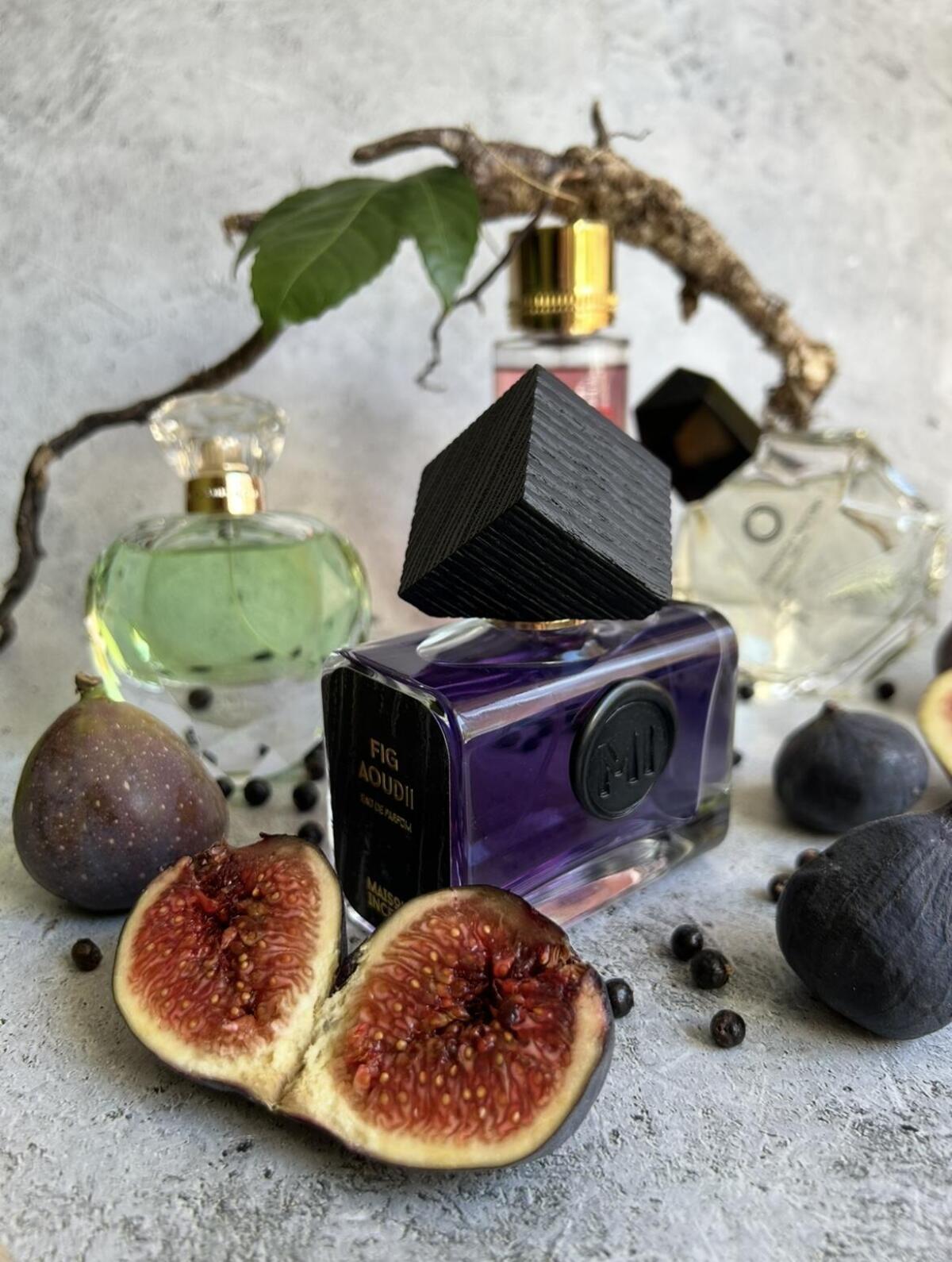 عطر ادکلن فیگ اودی میزون اینسنس - Figue Aoudii Maison Incens - بررسی، قیمت و خرید