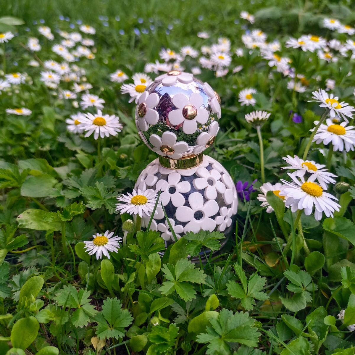 عطر ادکلن دیزی دریم مارک جیکوبز - Daisy Dream Marc Jacobs - بررسی، قیمت و خرید