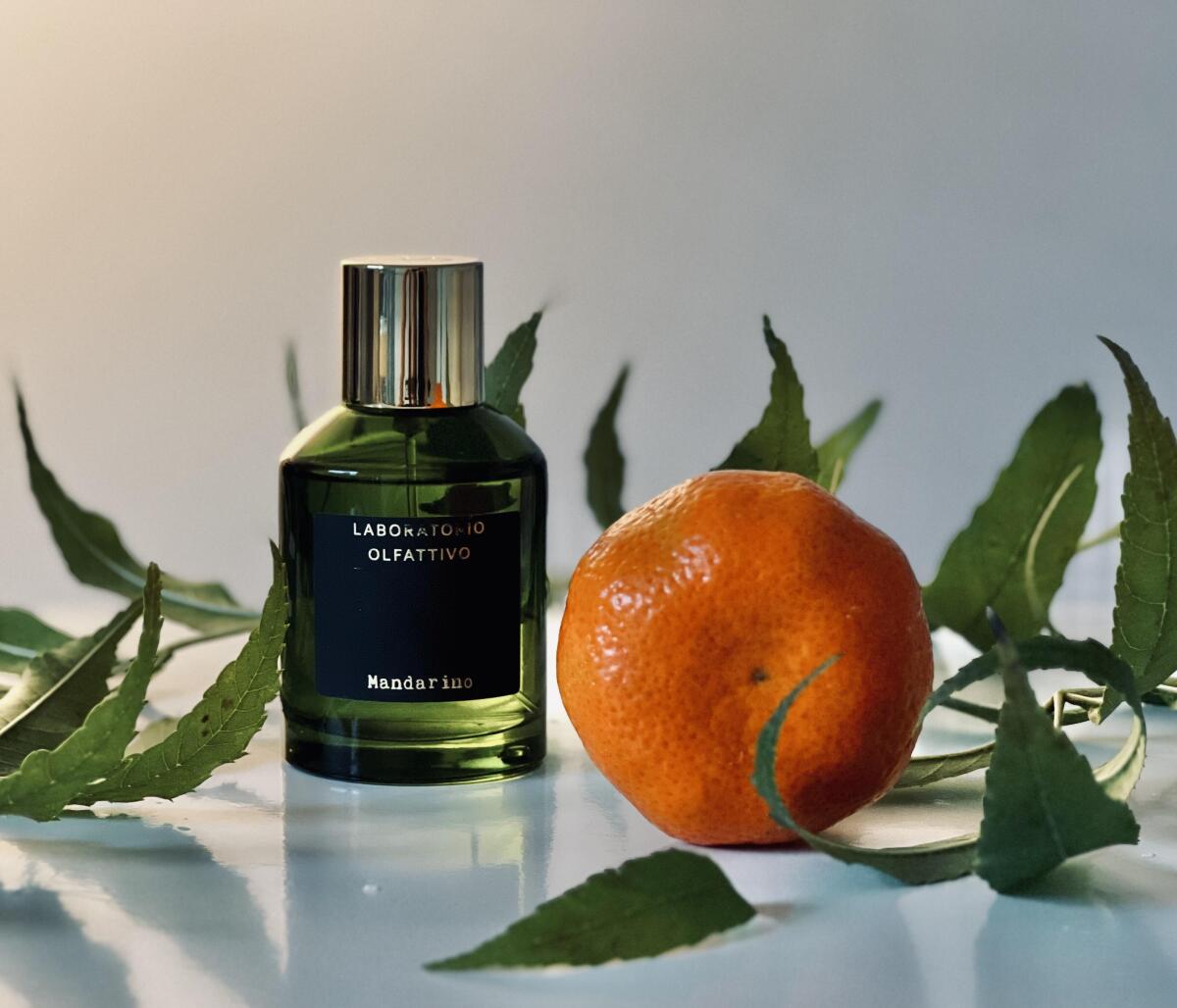 عطر ادکلن مندارینو لابراتوریو الفاتیوو - Mandarino Laboratorio Olfattivo - بررسی، قیمت و خرید