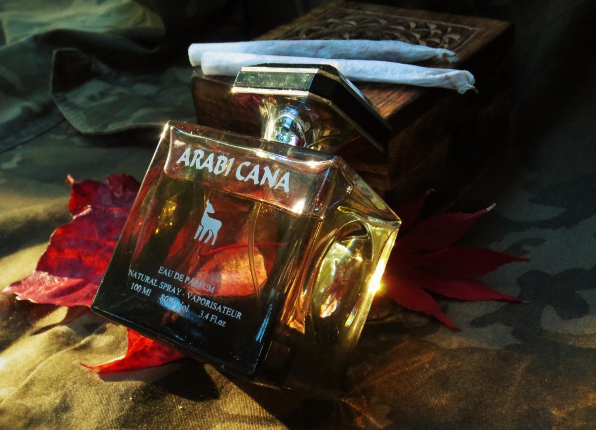 عطر ادکلن عربی کانا کولماز - Arabi Cana Kolmaz - بررسی، قیمت و خرید