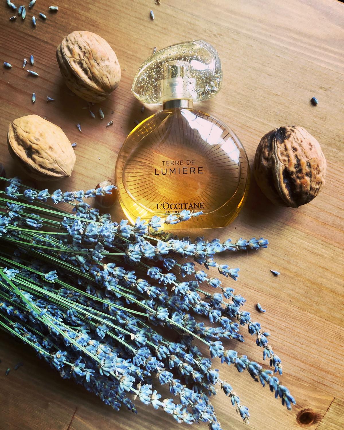 عطر ادکلن تر دو لومیر ادیشن اور لوکسیتان - Terre de Lumiere Edition Or L'Occitane en Provence - بررسی، قیمت و خرید