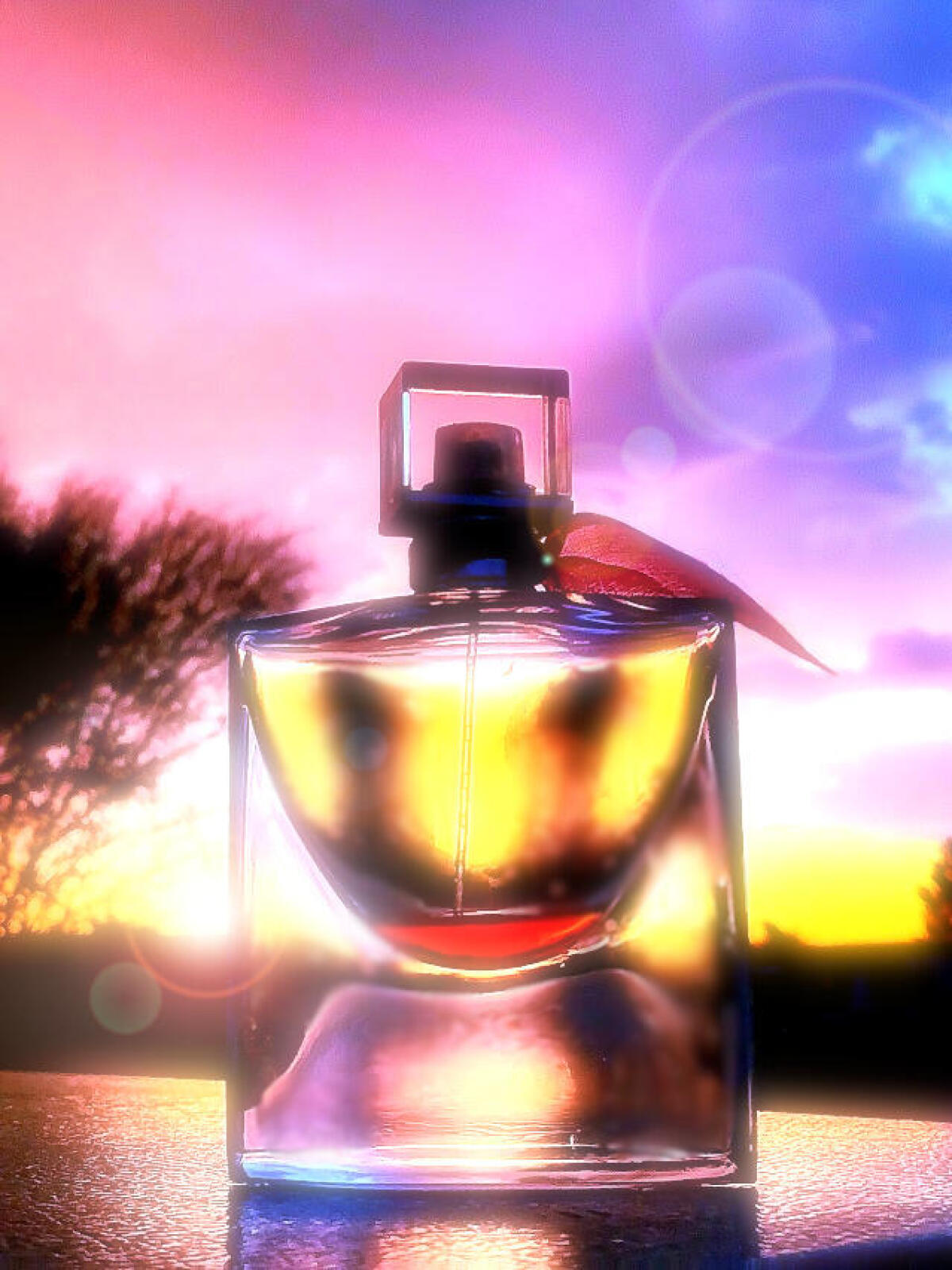 عطر ادکلن لا وی است بل انتنسمنت لانکوم - La Vie Est Belle Intensément Lancôme - بررسی، قیمت و خرید