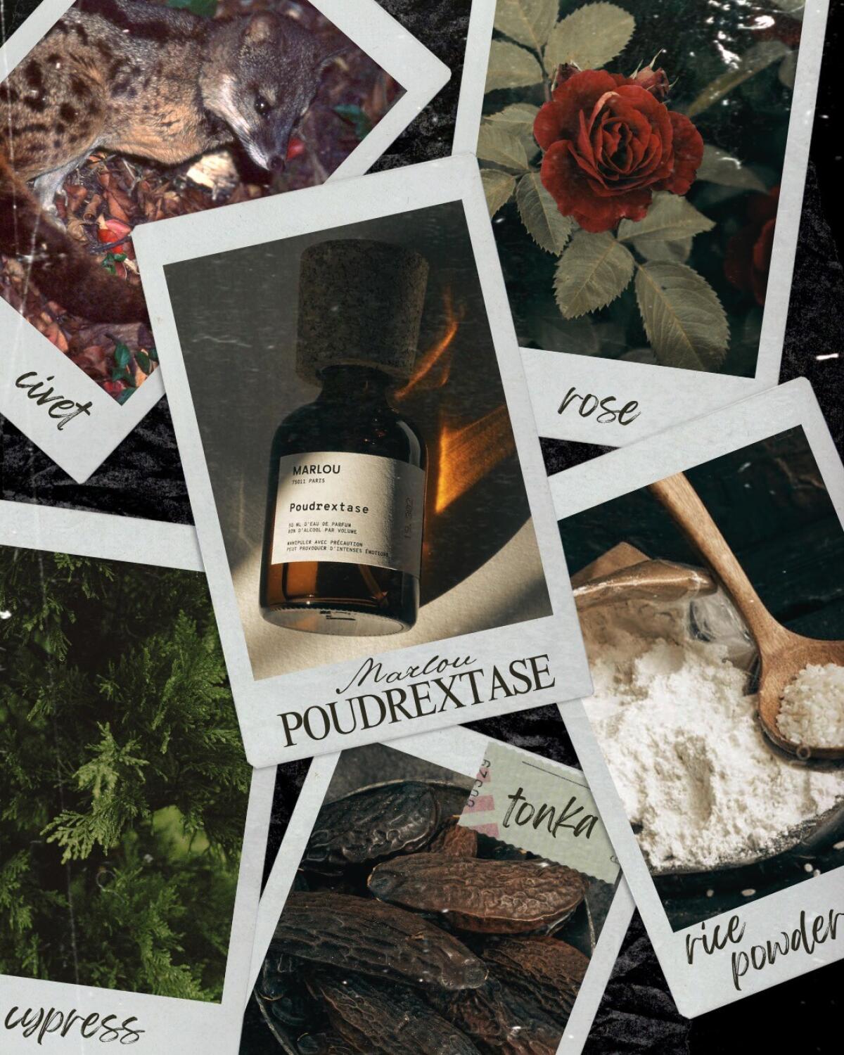 عطر ادکلن پودریکتازه مارلو - Poudrextase Marlou - بررسی، قیمت و خرید