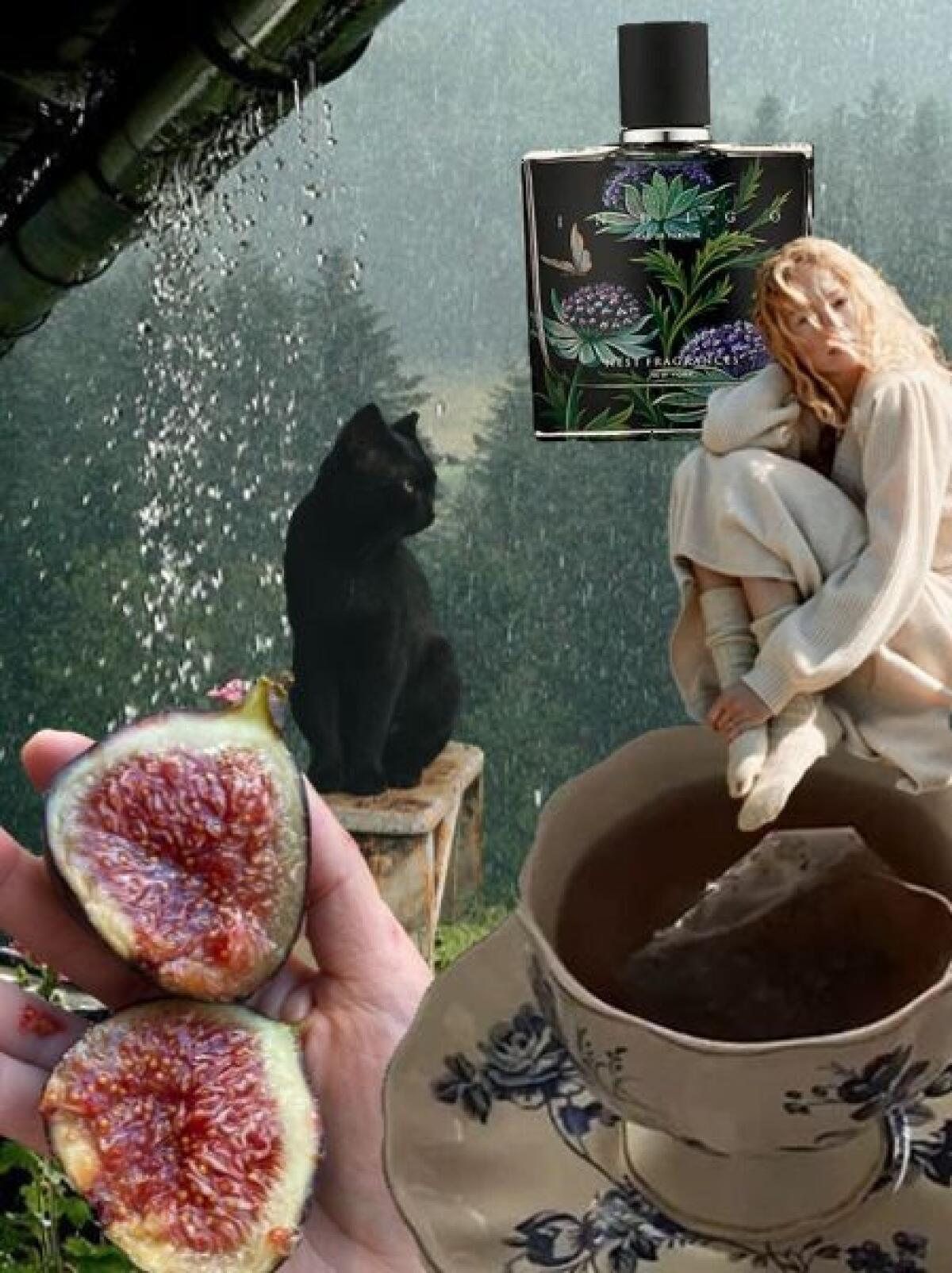 عطر ادکلن ایندیگو نست - Indigo Nest - بررسی، قیمت و خرید