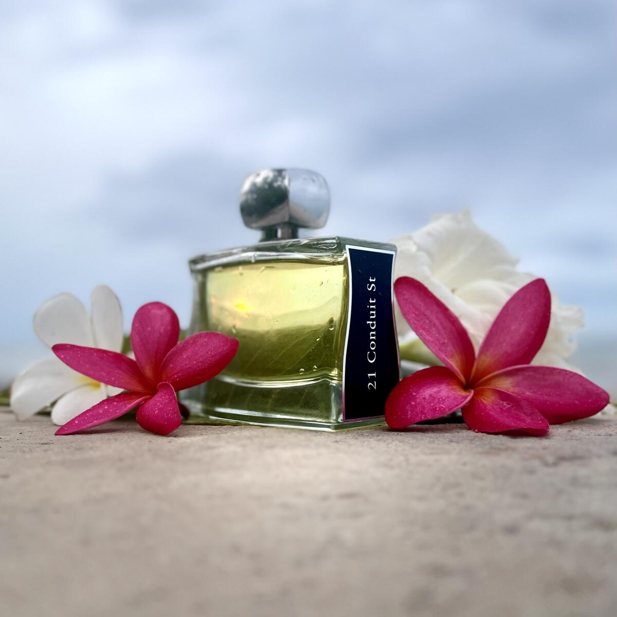 عطر ادکلن ۲۱ کندوئیت استریت ژووُی پاریس - 21 Conduit St Jovoy Paris - بررسی، قیمت و خرید