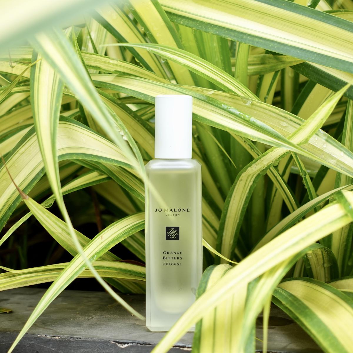 عطر ادکلن اورنج بیترز جو مالون لاندن - Orange Bitters Jo Malone London - بررسی، قیمت و خرید