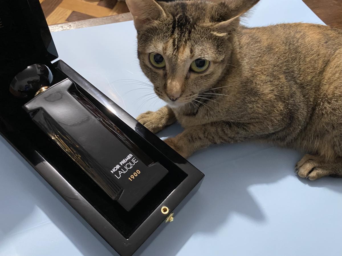 عطر ادکلن فلور یونیورسل لالیک - Fleur Universelle Lalique - بررسی، قیمت و خرید