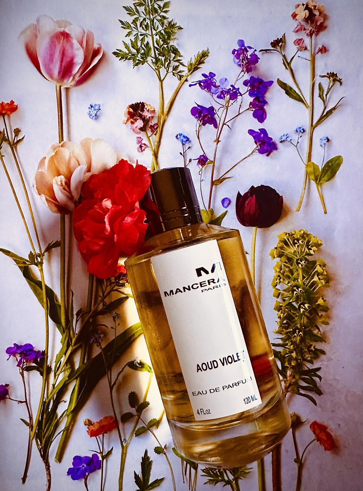 عطر ادکلن عود ویولت مانسرا - Aoud Violet Mancera - بررسی، قیمت و خرید