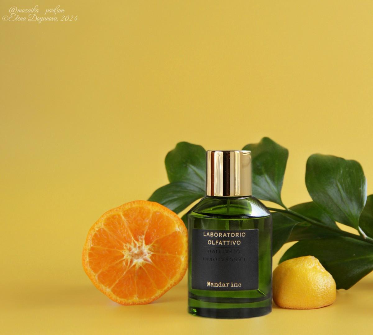 عطر ادکلن مندارینو لابراتوریو الفاتیوو - Mandarino Laboratorio Olfattivo - بررسی، قیمت و خرید