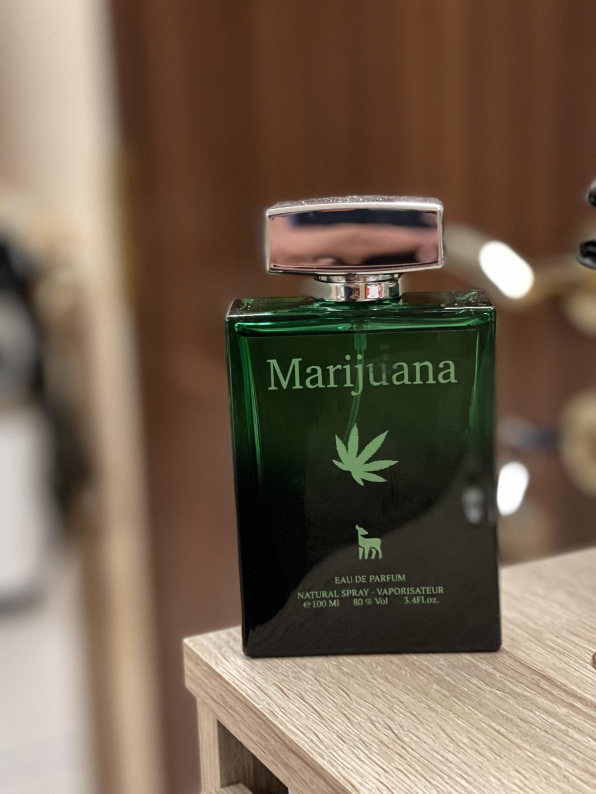 عطر ادکلن ماری‌جوانا کولماز - Marijuana Kolmaz - بررسی، قیمت و خرید