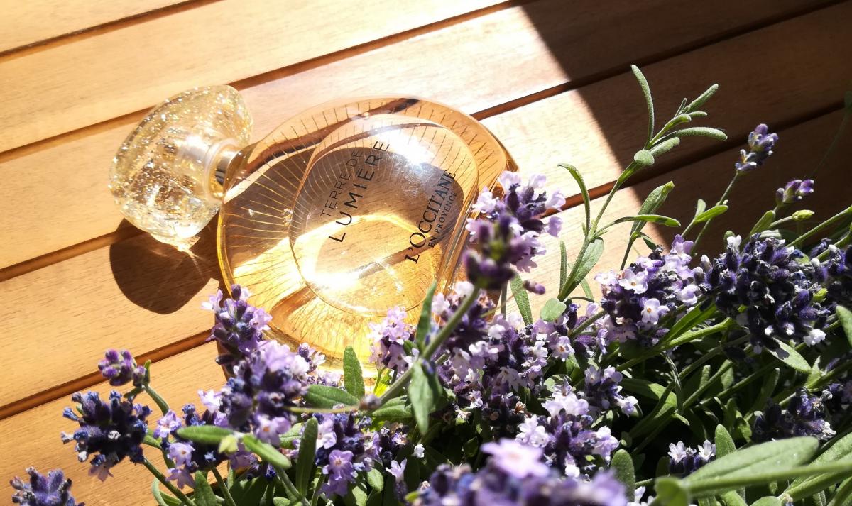 عطر ادکلن تر دو لومیر ادیشن اور لوکسیتان - Terre de Lumiere Edition Or L'Occitane en Provence - بررسی، قیمت و خرید