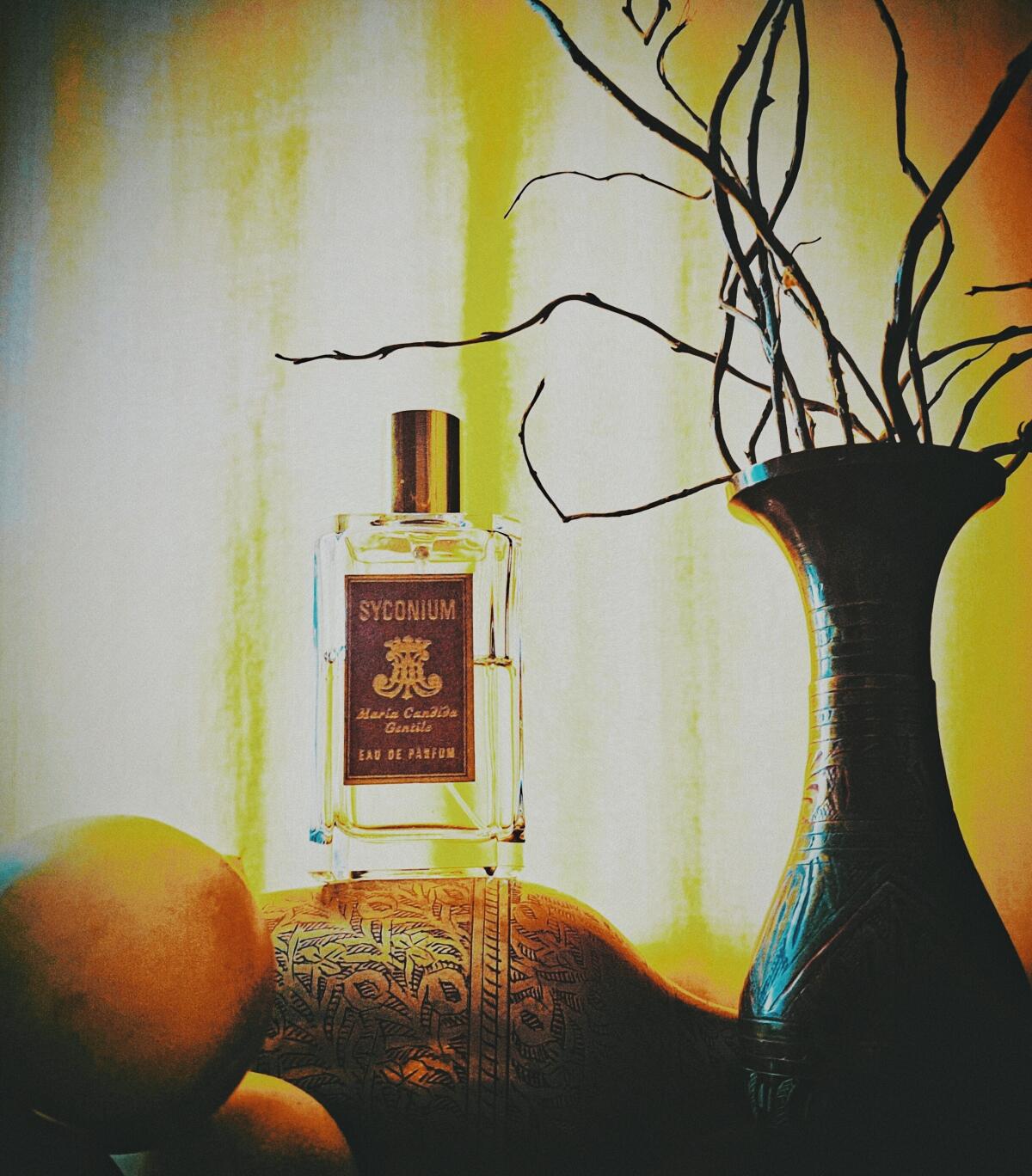 عطر ادکلن سیکونیوم ماریا کاندیدا جنتایل - Syconium Maria Candida Gentile - بررسی، قیمت و خرید