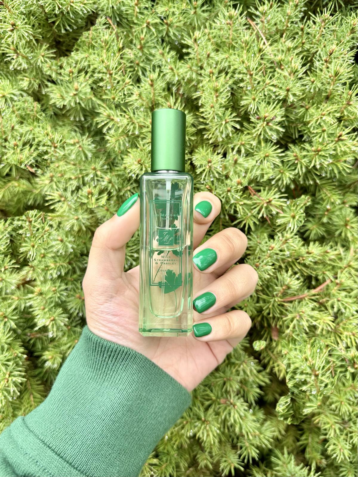 عطر ادکلن وایلد استرابری اند پارسلی جو مالون لاندن - Wild Strawberry & Parsley Jo Malone London - بررسی، قیمت و خرید