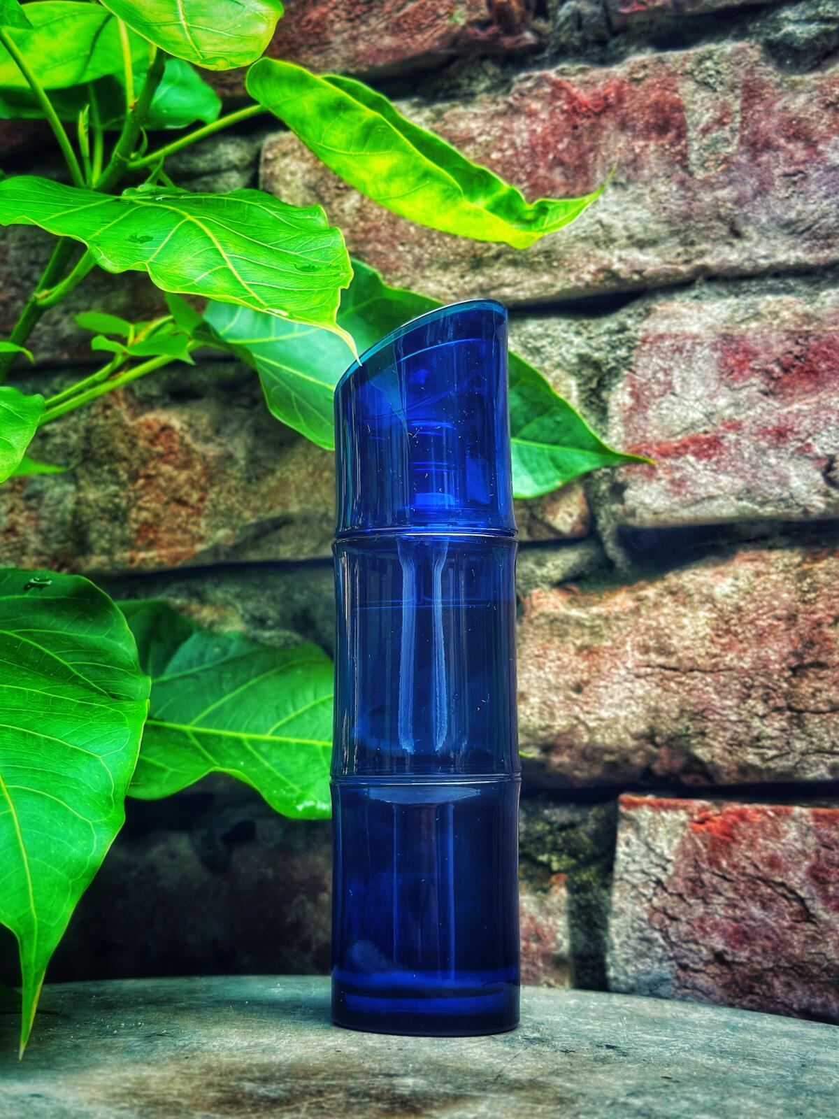 عطر ادکلن کنزو هوم او دو تویلت اینتنس کنزو - Kenzo Homme Eau de Toilette Intense Kenzo - بررسی، قیمت و خرید