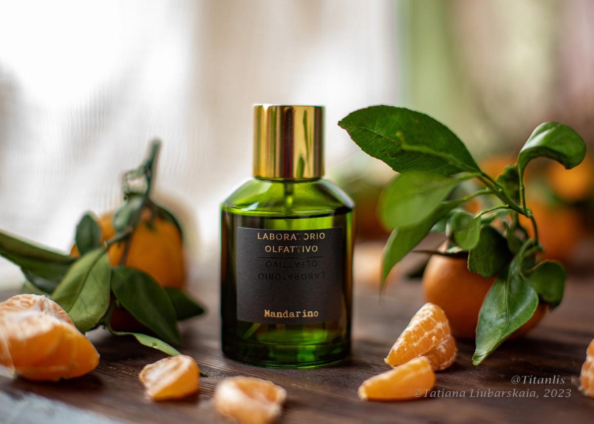 عطر ادکلن مندارینو لابراتوریو الفاتیوو - Mandarino Laboratorio Olfattivo - بررسی، قیمت و خرید