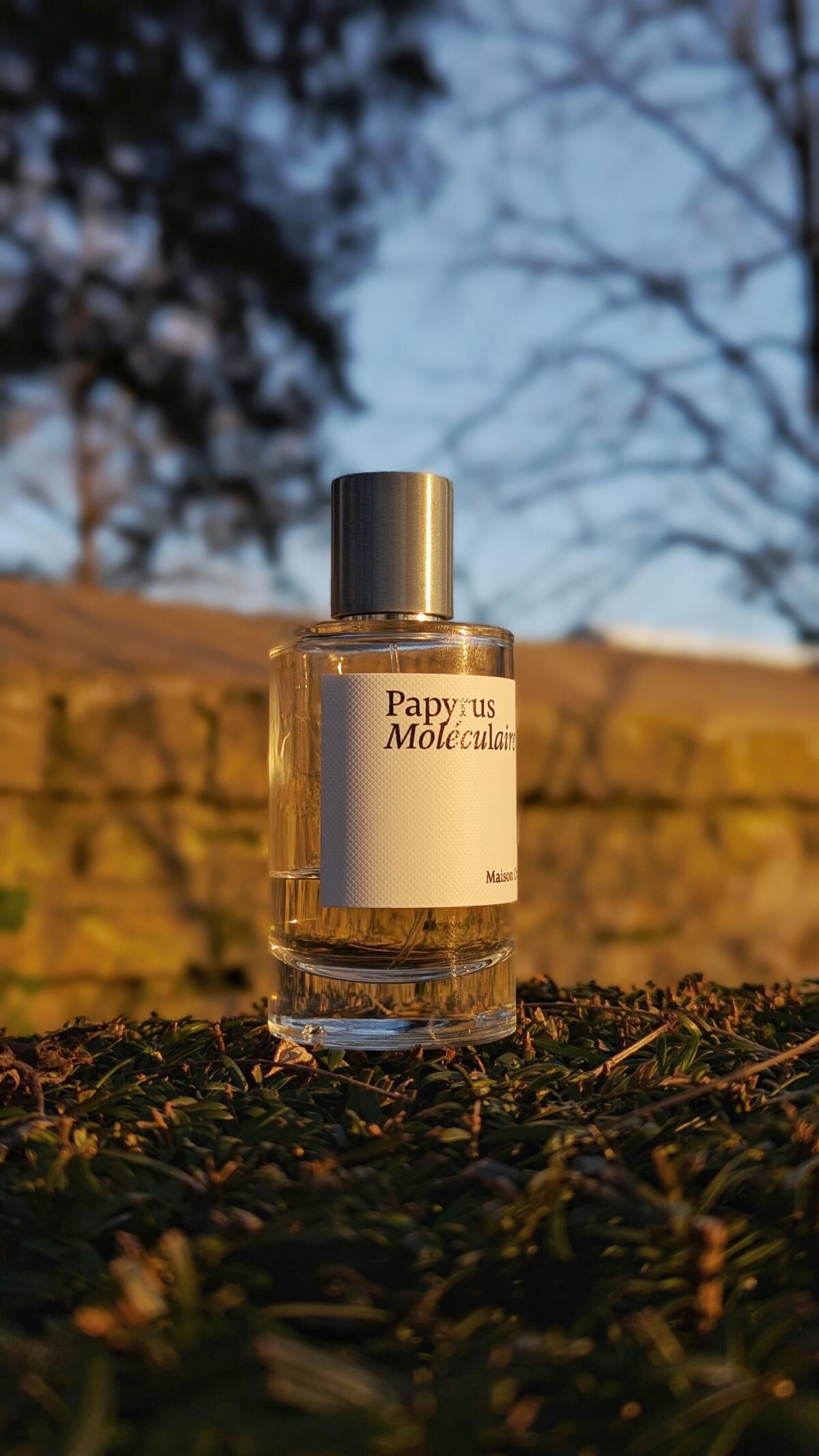 عطر ادکلن پاپیروس مولکولر مزون کریولی - Papyrus Moleculaire Maison Crivelli - بررسی، قیمت و خرید