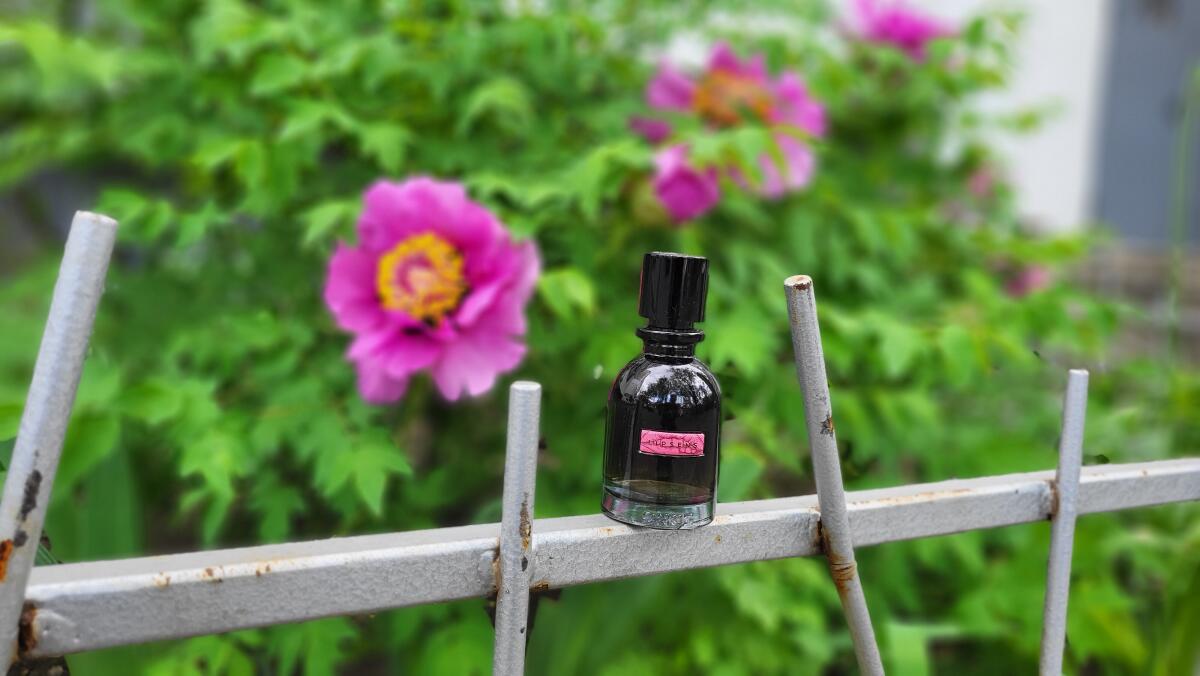 عطر ادکلن لیپ سنس وانس - Lipsens Once - بررسی، قیمت و خرید