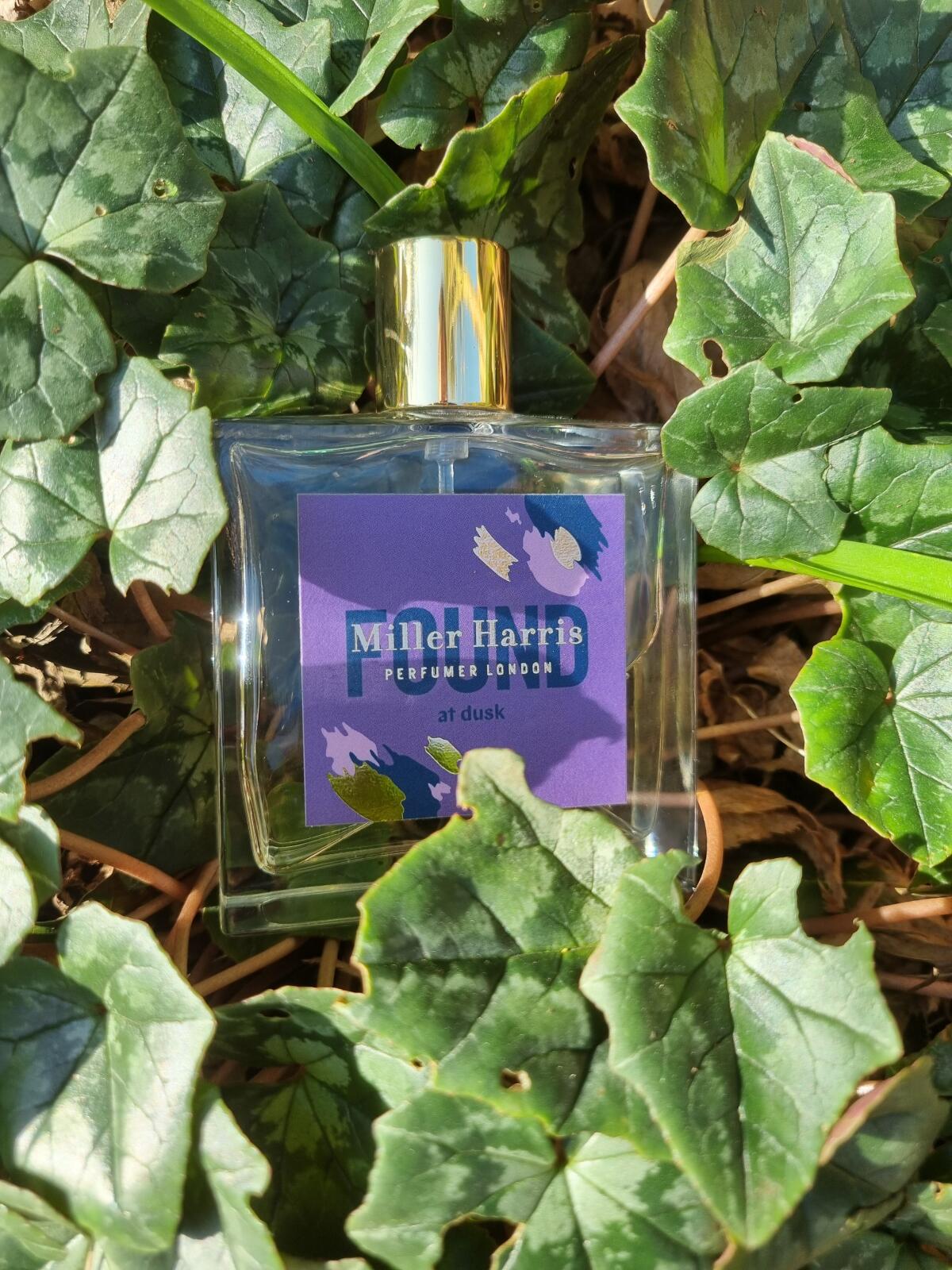 عطر ادکلن فاند ات داسک میلر هریس - Found at Dusk Miller Harris - بررسی، قیمت و خرید