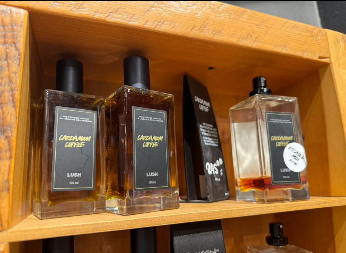 عطر ادکلن کارداموم کافی لاش - Cardamom Coffee Lush - بررسی، قیمت و خرید