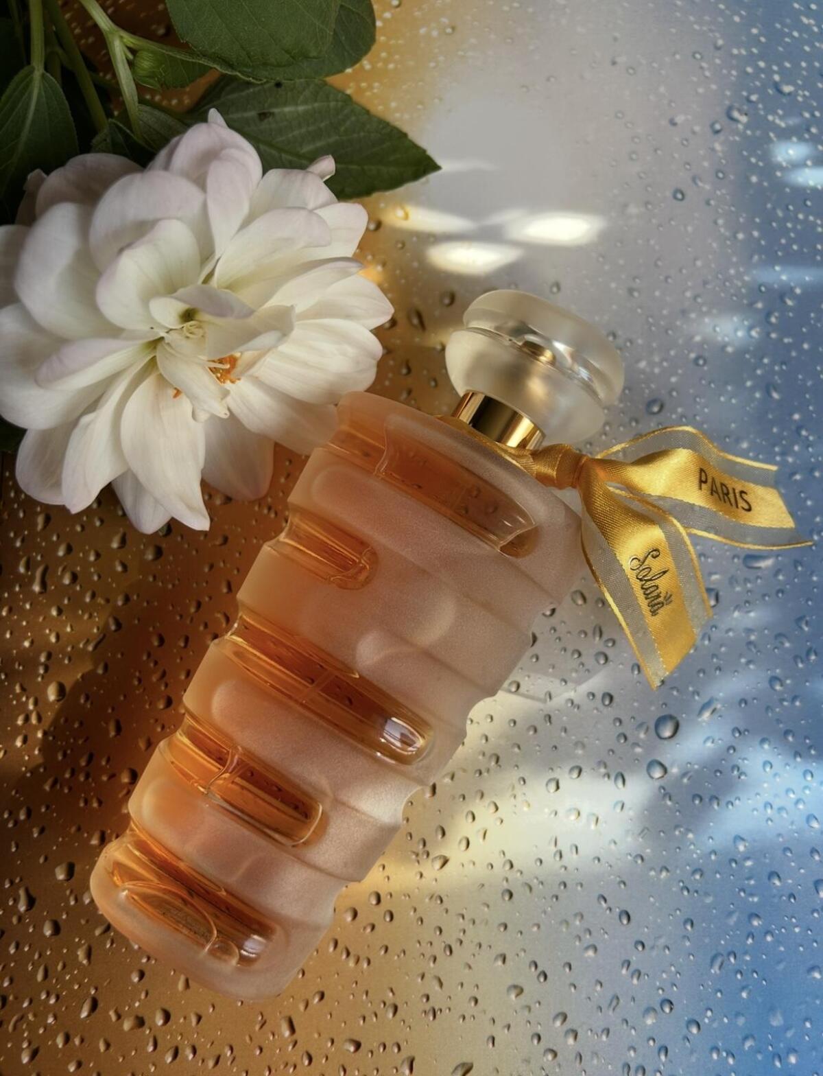 عطر ادکلن سولارا لومانی - Solara Lomani - بررسی، قیمت و خرید