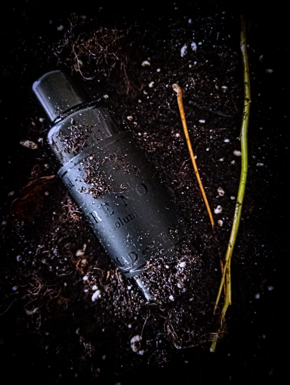 عطر ادکلن نو نوزده تر نوآر مادلن - No. XIX Terre Noire Mad et Len - بررسی، قیمت و خرید