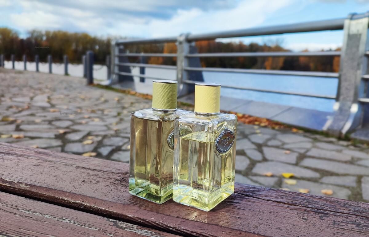 عطر ادکلن اینفیوژن د وِتیوِر پرادا - Infusion de Vetiver (2015) Prada - بررسی، قیمت و خرید