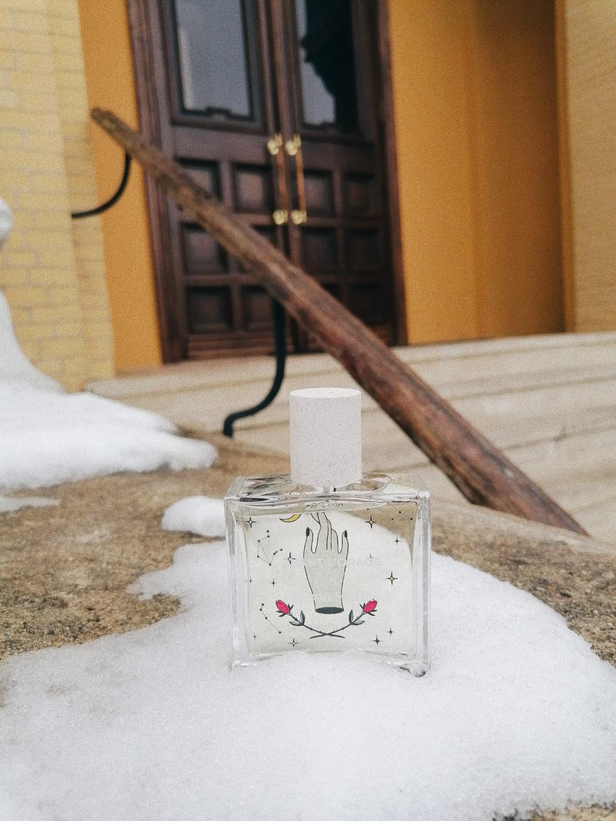 عطر ادکلن اونت لوراج مزن ماتین - Avant l’Orage Maison Matine - بررسی، قیمت و خرید