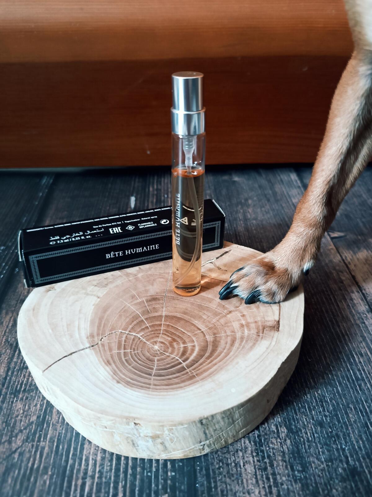 عطر ادکلن بته هیومن له لیکوئید ایمجینریز - Bête Humaine Les Liquides Imaginaires - بررسی، قیمت و خرید