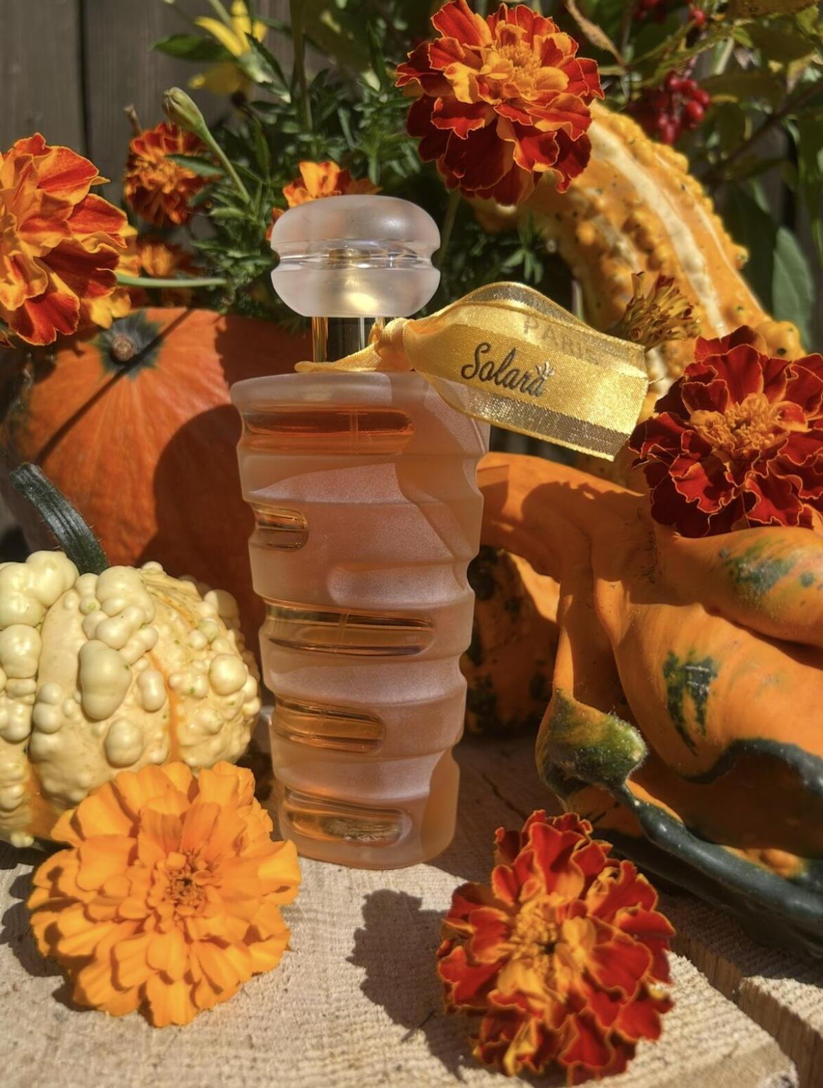 عطر ادکلن سولارا لومانی - Solara Lomani - بررسی، قیمت و خرید