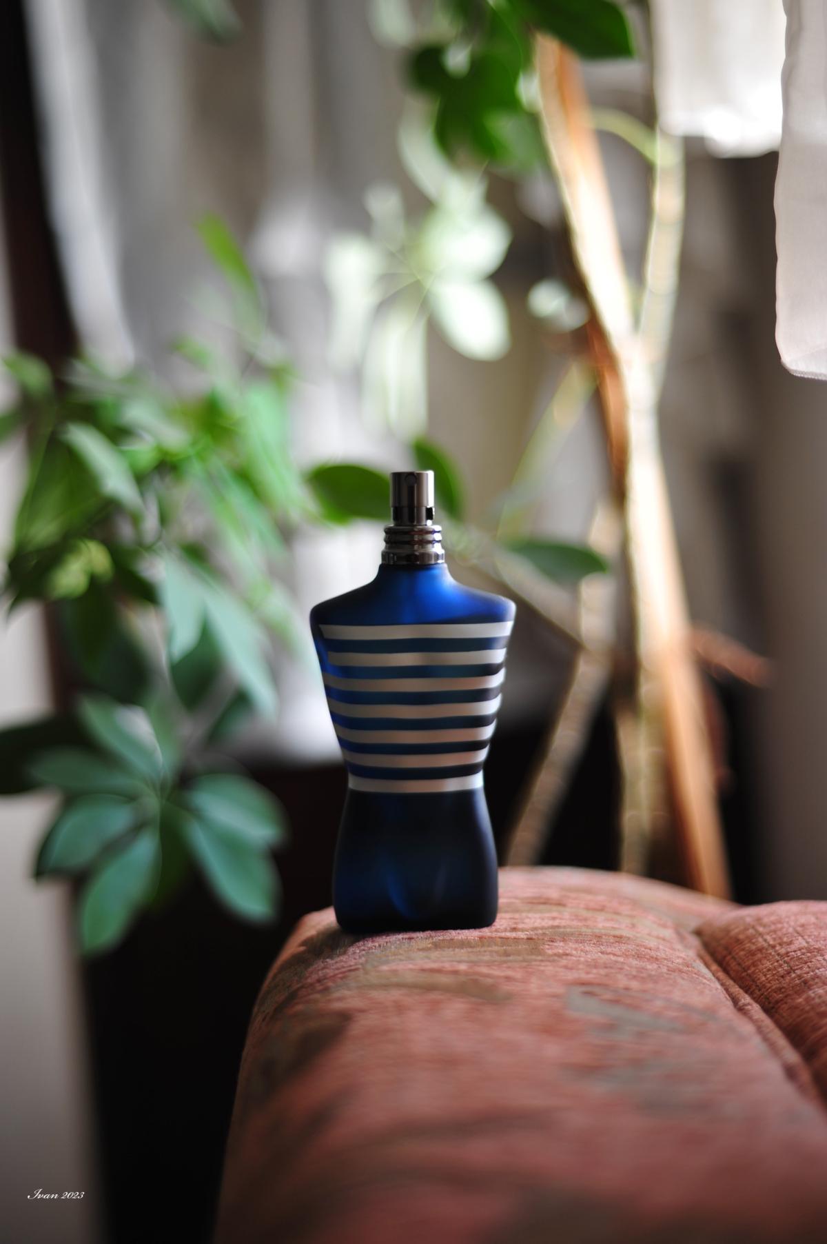 عطر ادکلن له میل این د نیوی ژان پل گوتیه - Le Male In The Navy Jean Paul Gaultier - بررسی، قیمت و خرید