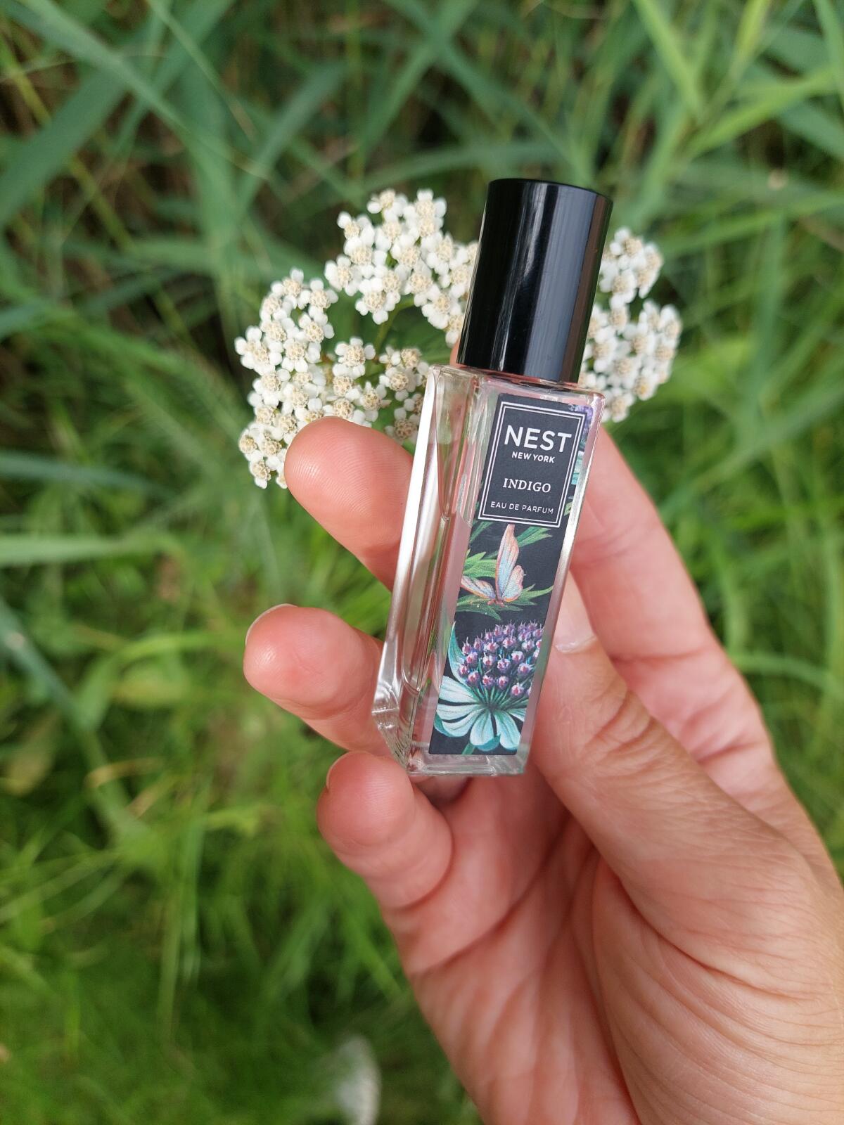 عطر ادکلن ایندیگو نست - Indigo Nest - بررسی، قیمت و خرید