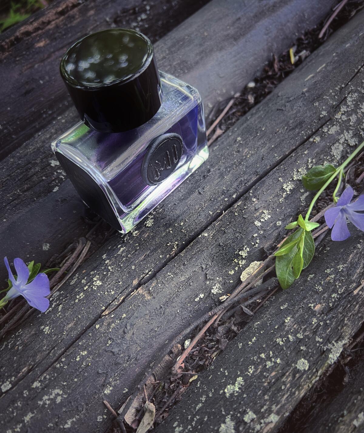 عطر ادکلن فیگ اودی میزون اینسنس - Figue Aoudii Maison Incens - بررسی، قیمت و خرید