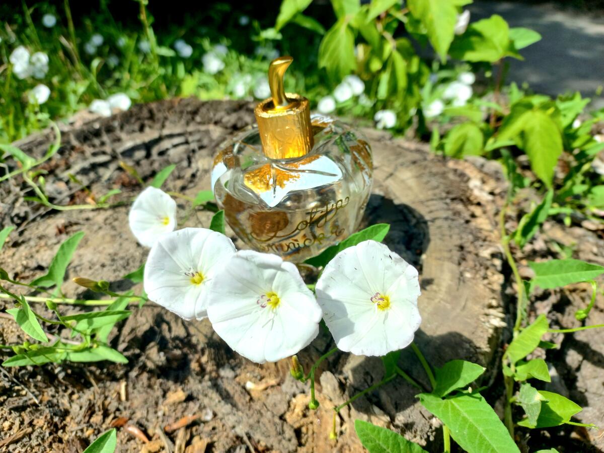 عطر ادکلن لو جولی لولیتا لمپیکا - L’Eau Jolie Lolita Lempicka - بررسی، قیمت و خرید