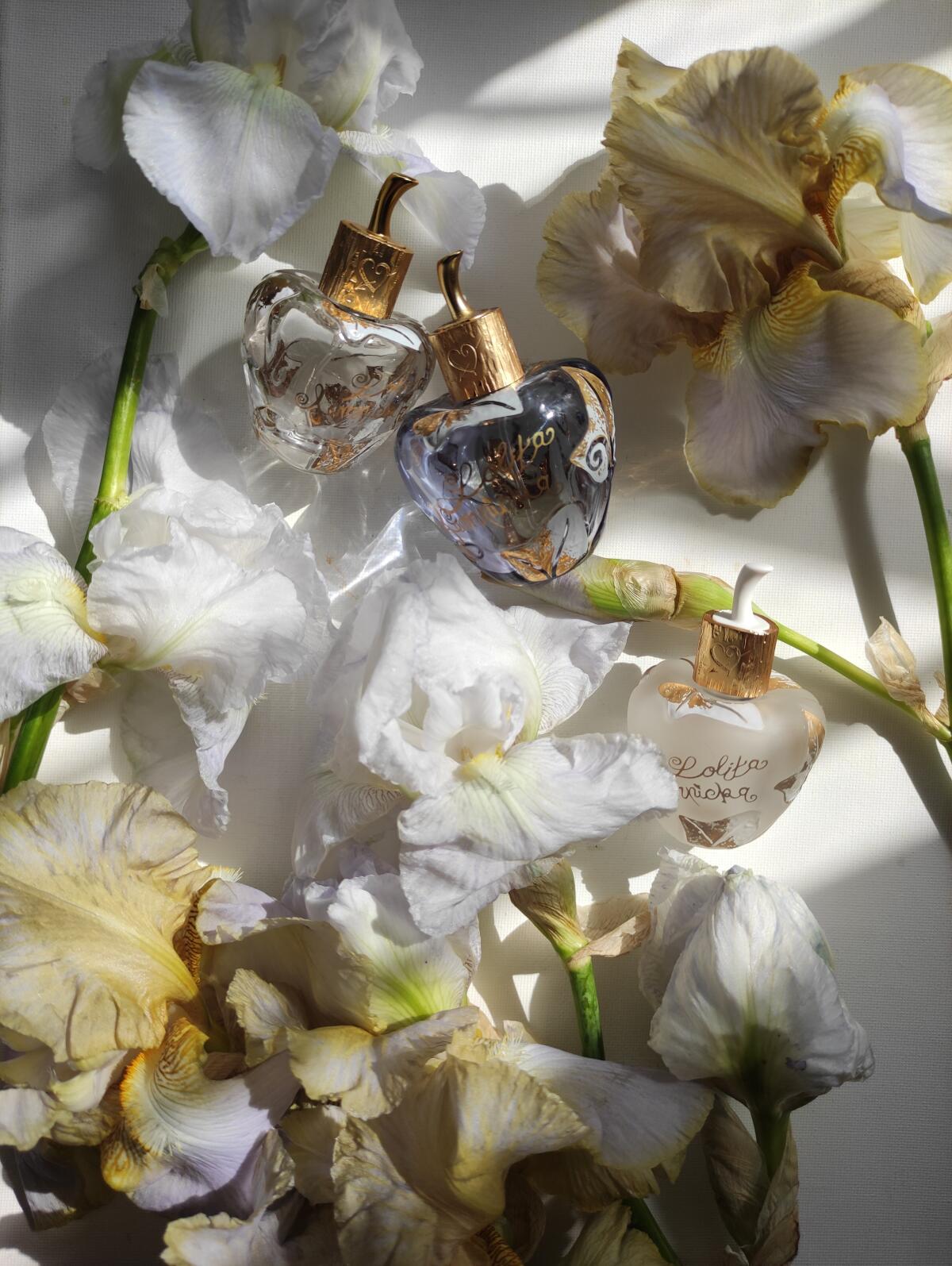 عطر ادکلن لو جولی لولیتا لمپیکا - L’Eau Jolie Lolita Lempicka - بررسی، قیمت و خرید