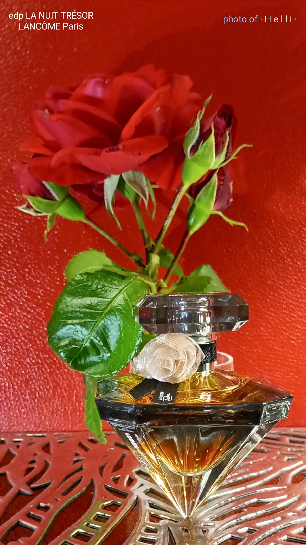 عطر ادکلن ل نویی ترزور کارس لانکوم - La Nuit Tresor Caresse Lancôme - بررسی، قیمت و خرید