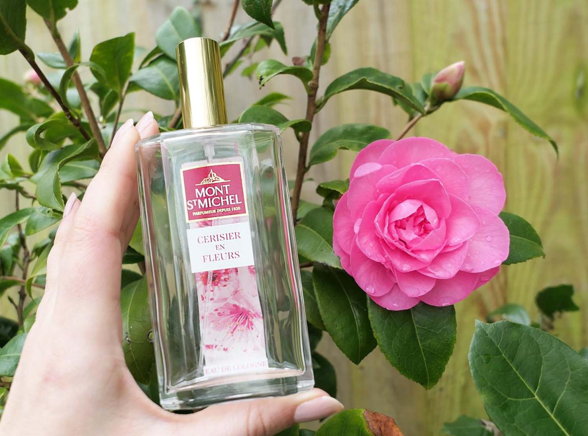عطر ادکلن سریزیه آن فلور مون سن میشل - Cerisier en Fleurs Mont St Michel - بررسی، قیمت و خرید