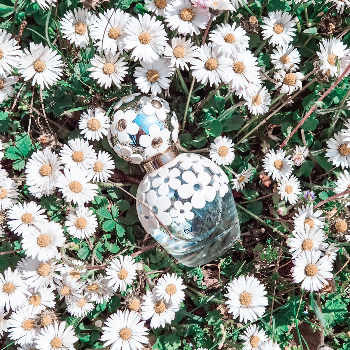 عطر ادکلن دیزی دریم مارک جیکوبز - Daisy Dream Marc Jacobs - بررسی، قیمت و خرید