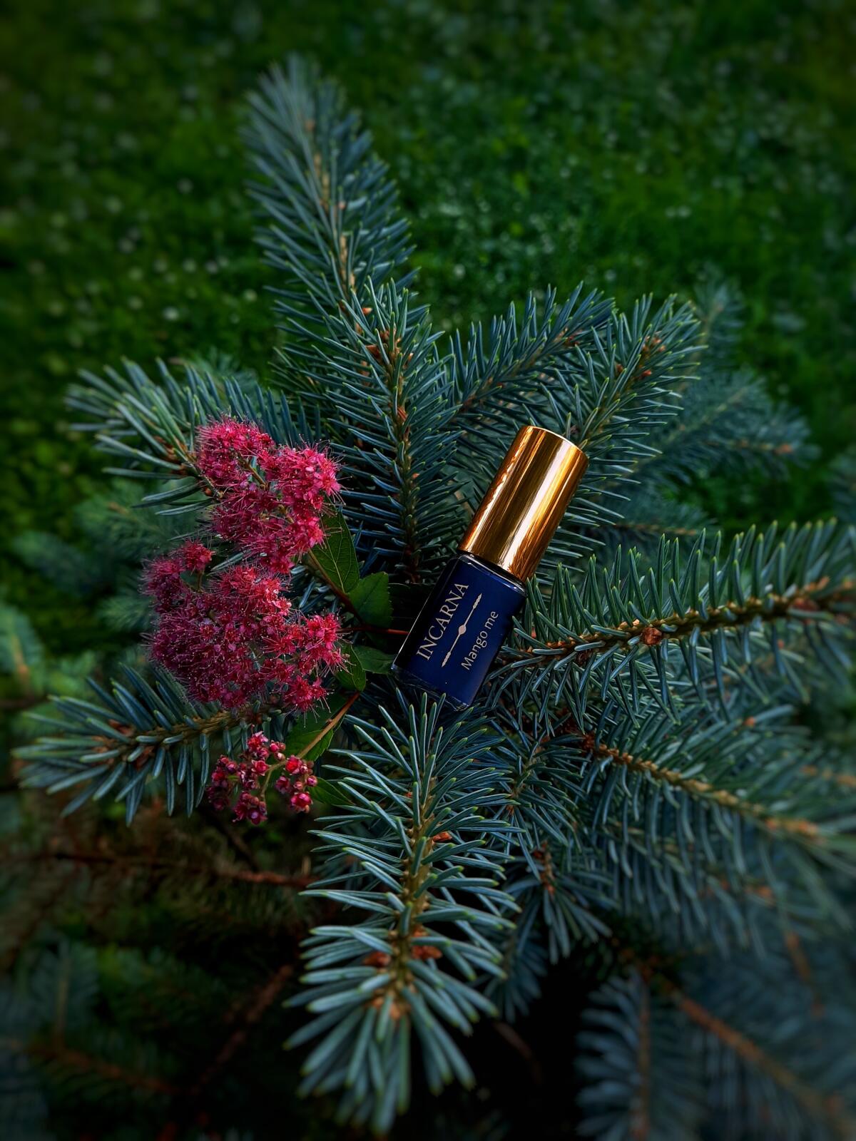 عطر ادکلن منگومی اینکارنا پارفومز - Mango me Incarna parfums - بررسی، قیمت و خرید