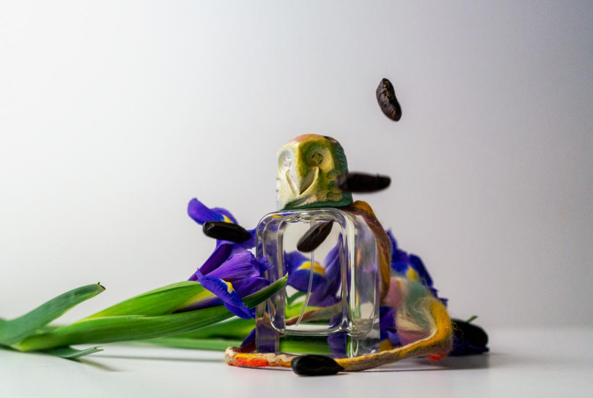 عطر ادکلن دیمِن مندیتوروسا - Daymon Mendittorosa - بررسی، قیمت و خرید