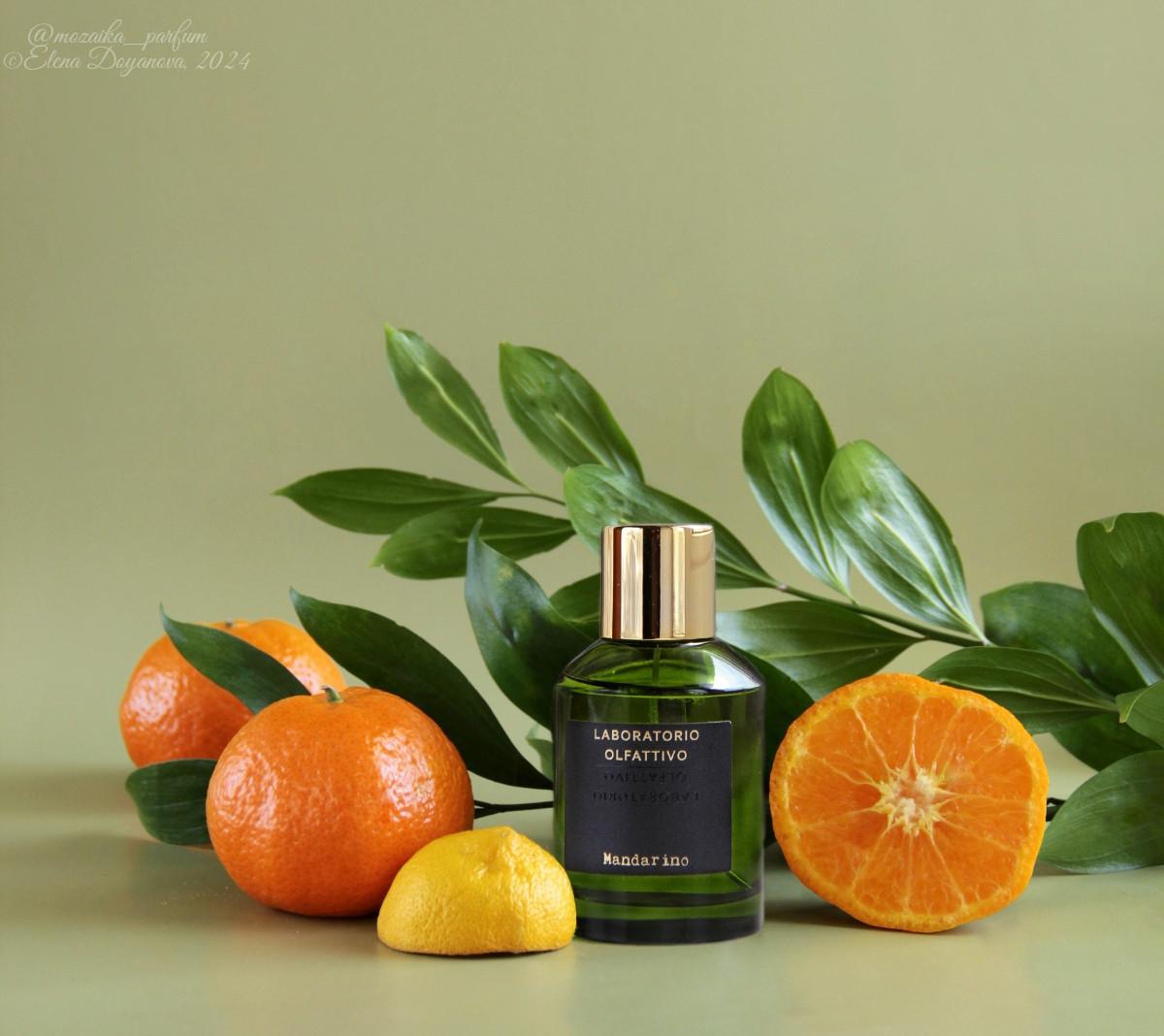 عطر ادکلن مندارینو لابراتوریو الفاتیوو - Mandarino Laboratorio Olfattivo - بررسی، قیمت و خرید